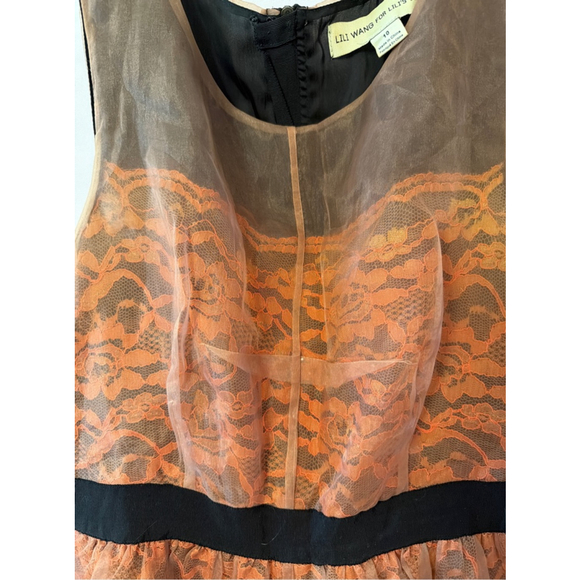 Lili Wang for Lili's Closet Organza Lace Dress Evening Cocktail Party Sz 10 - Picture 3 of 10